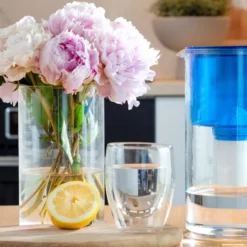 Wessper Glas Wasserfilter 2,5 L Mit 10 Filterkartuschen, Kompatibel Mit Brita Classic-blau -Günstiges Brat Lust Geschäft 74e81a9d7a78d164bab36aadc72afe2f