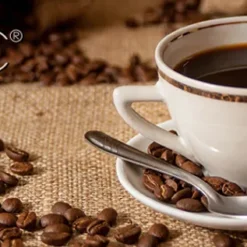 Clatronic Thermo-Kaffeeautomat KA 3328, Inkl. 2 Thermokannen Für Je 8-10 Tassen Kaffee (2 X 1 Liter), Schwarz Silber 11 Clatronic Thermo-Kaffeeautomat KA 3328, Inkl. 2 Thermokannen Für Je 8-10 Tassen Kaffee (2 X 1 Liter), Schwarz Silber -Günstiges Brat Lust Geschäft a5e66f53ce3a4b22ce050f77058437bc