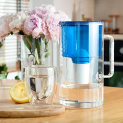 Wessper Glas Wasserfilter 2,5 L Mit 10 Filterkartuschen, Kompatibel Mit Brita Classic-blau -Günstiges Brat Lust Geschäft e6fea87a1c8ba14de88835c14e9729fc